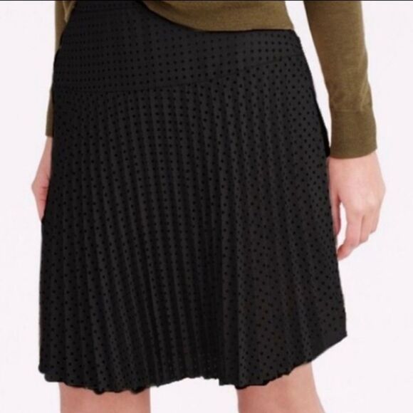 J. CREW Perforated Lasercut Pleated Circle Skirt 2 - Picture 8 of 9